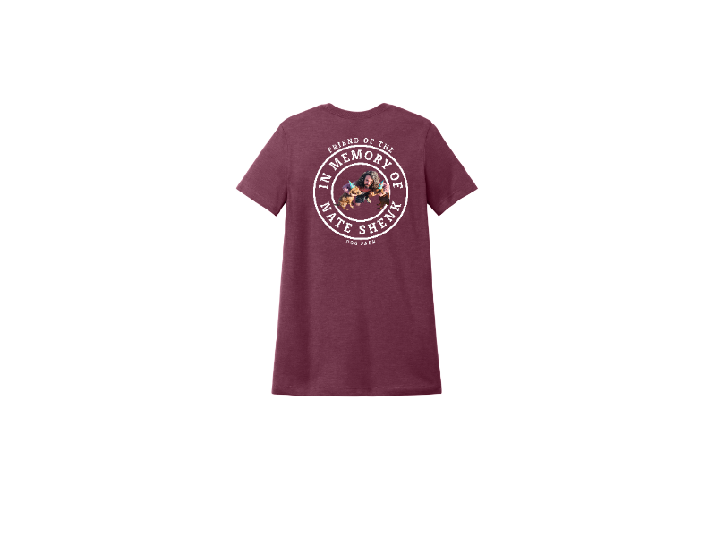 Gildan Softstyle Women's CVC T-Shirt 64001LCVC