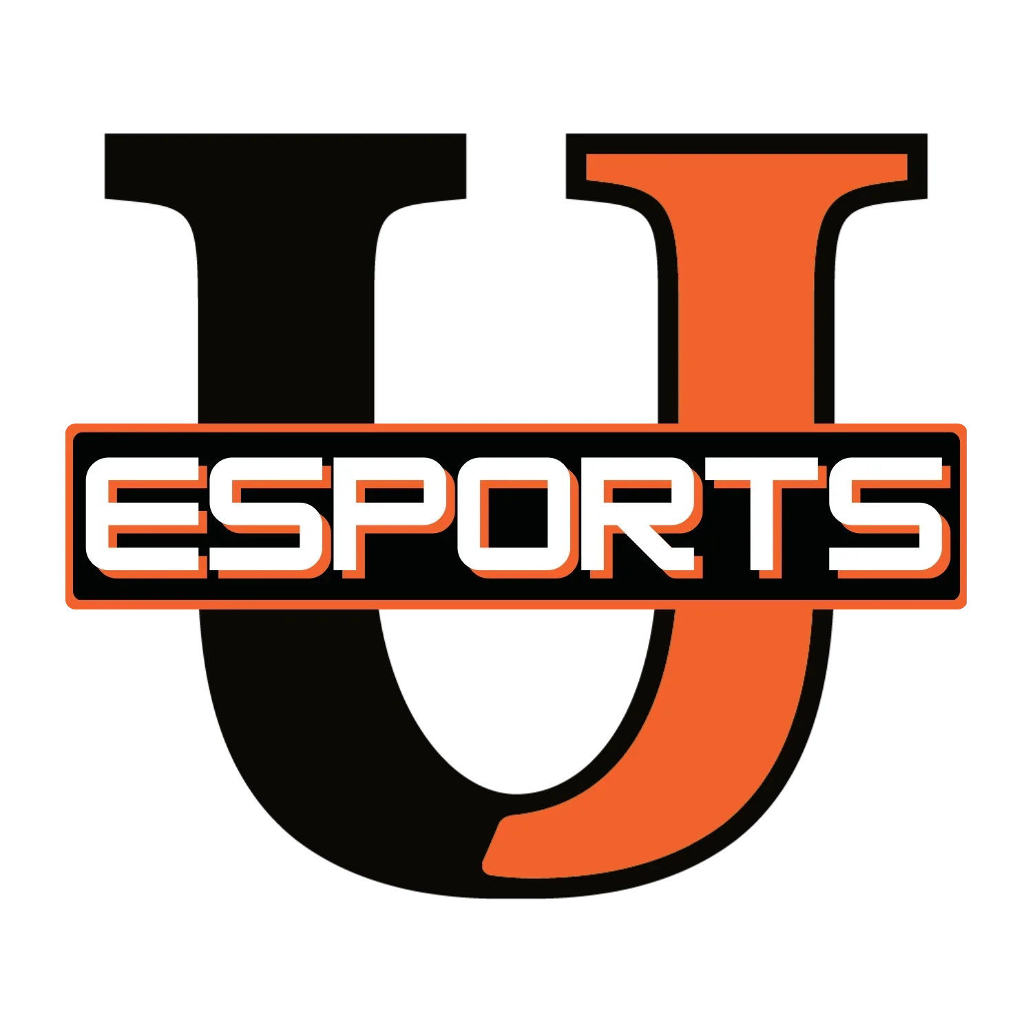 University of Jamestown Esports