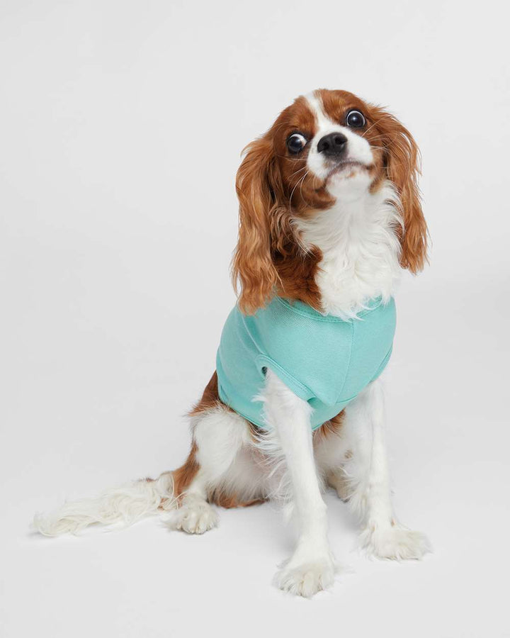 Unison Doggie Tank 3902