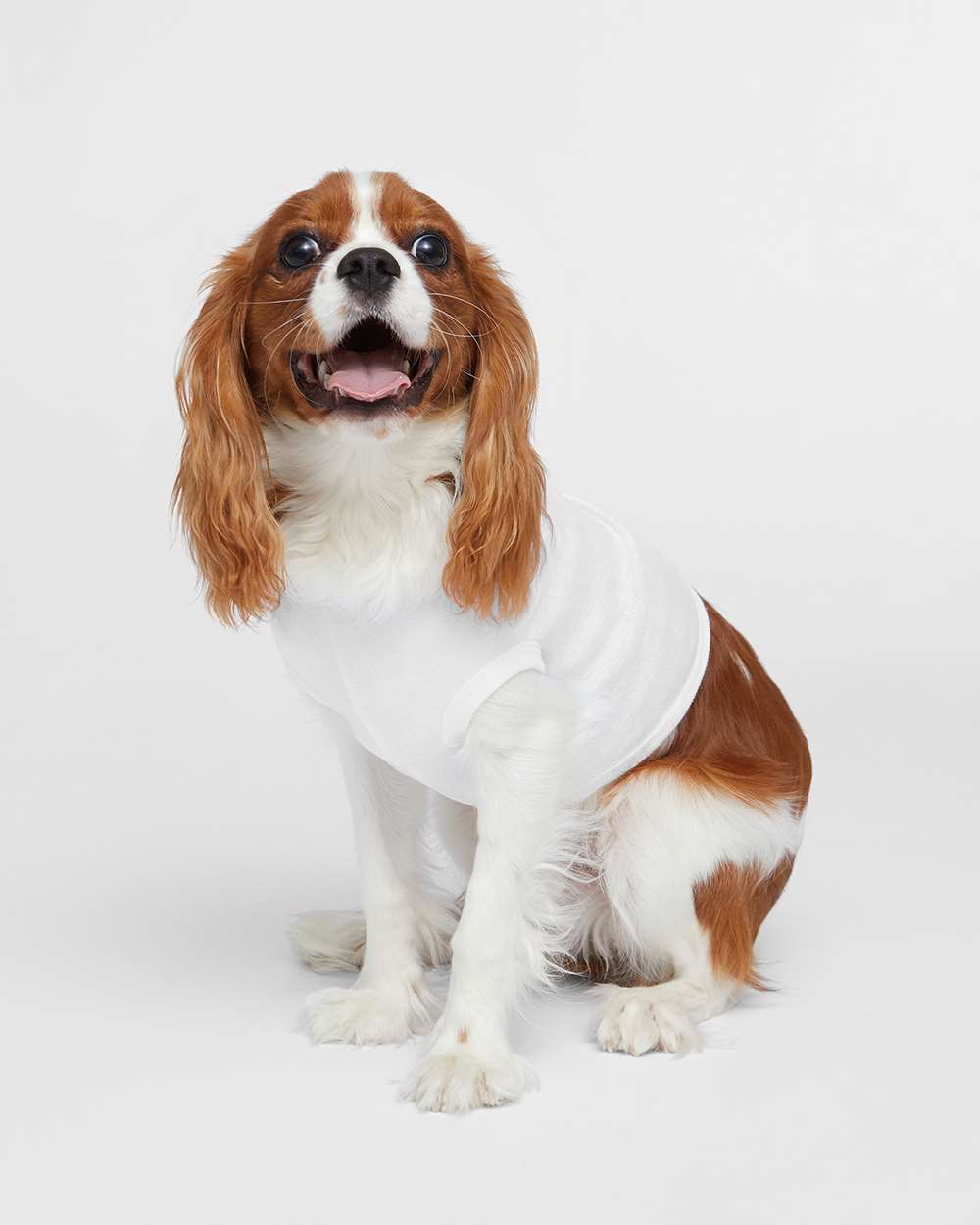 Unison Doggie Tank 3902