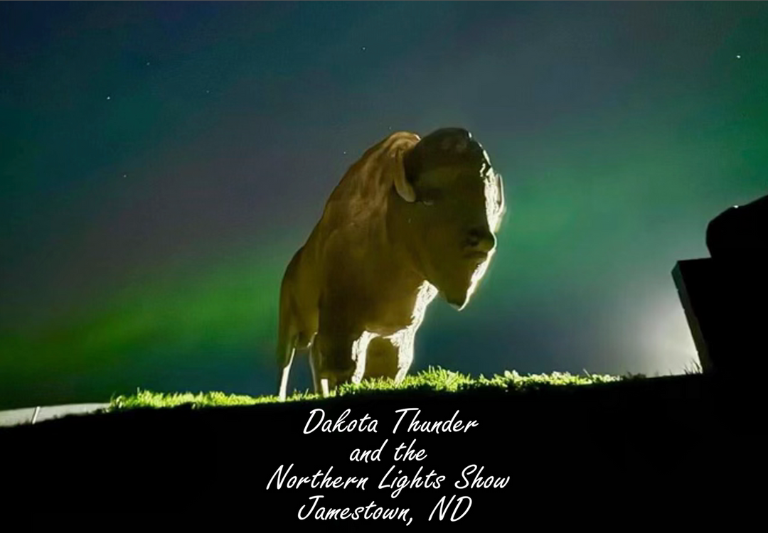 Dakota Thunder PDF