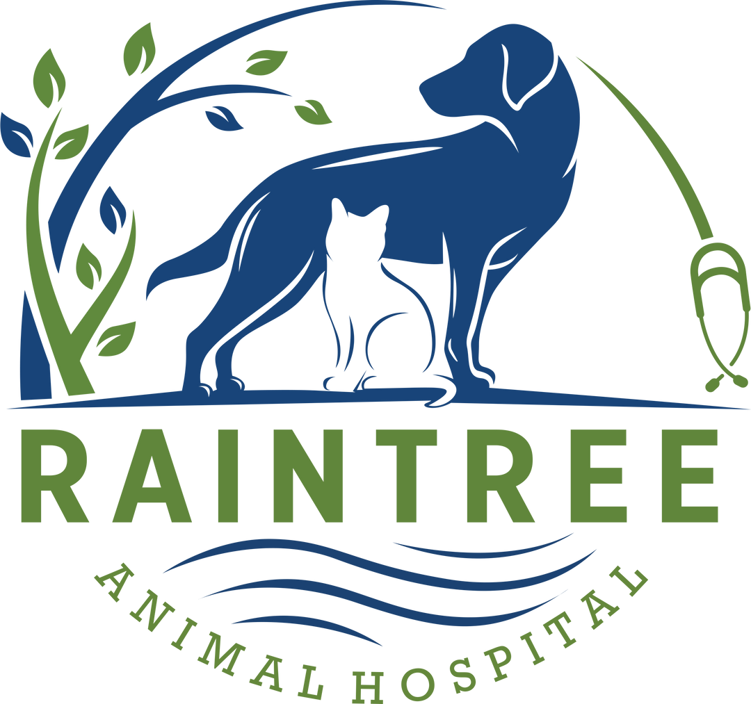 Various Raintree T-shirts
