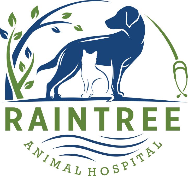 Various Raintree T-shirts