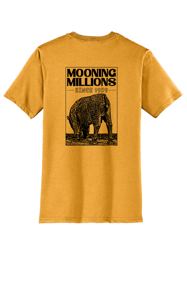 Back Design - Gold