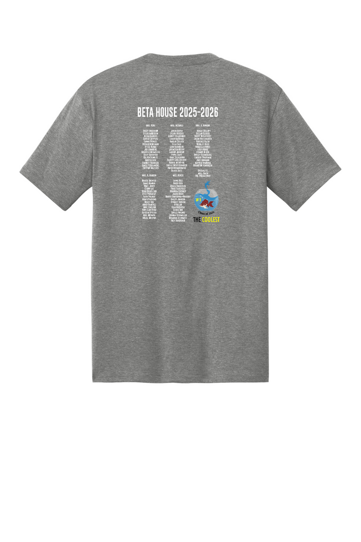 Back Design - Grey Frost