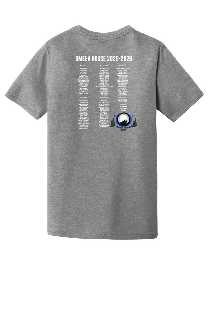 Back Design - Grey Frost