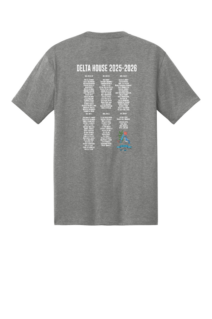 Back Design - Grey Frost