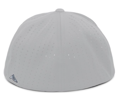 Silver - back