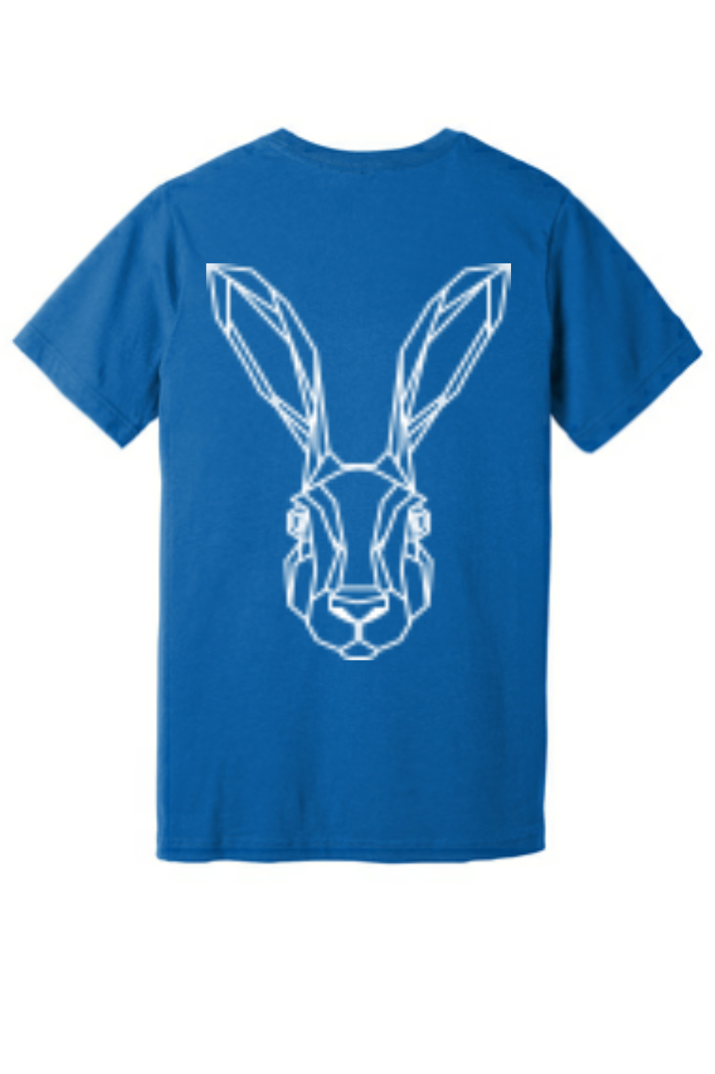 Ht Columb Blue - back
