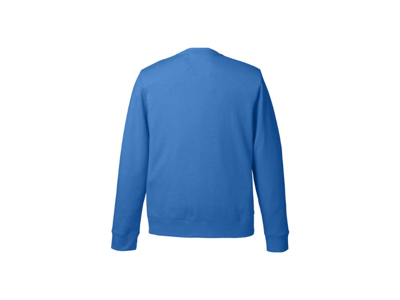 Back Design - Kingfisher