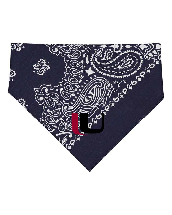 Front Design - Navy Paisley