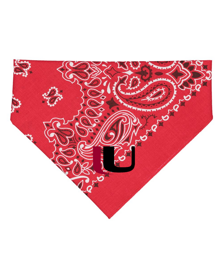 Front Design - Red Paisley
