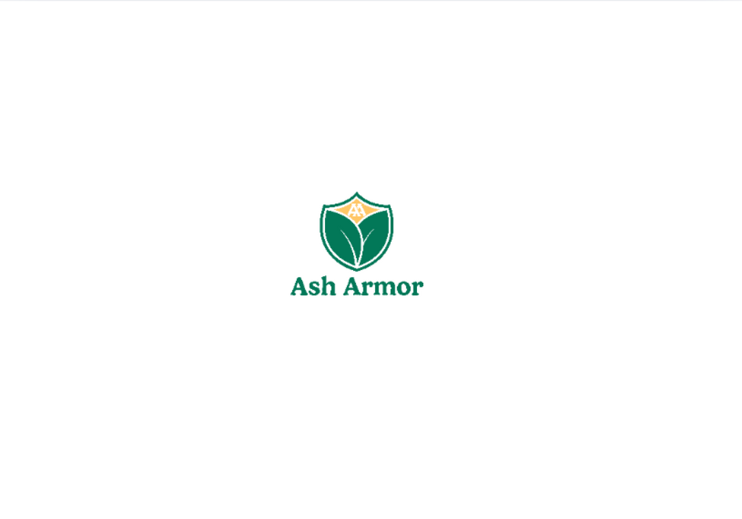 Front Design - Stone