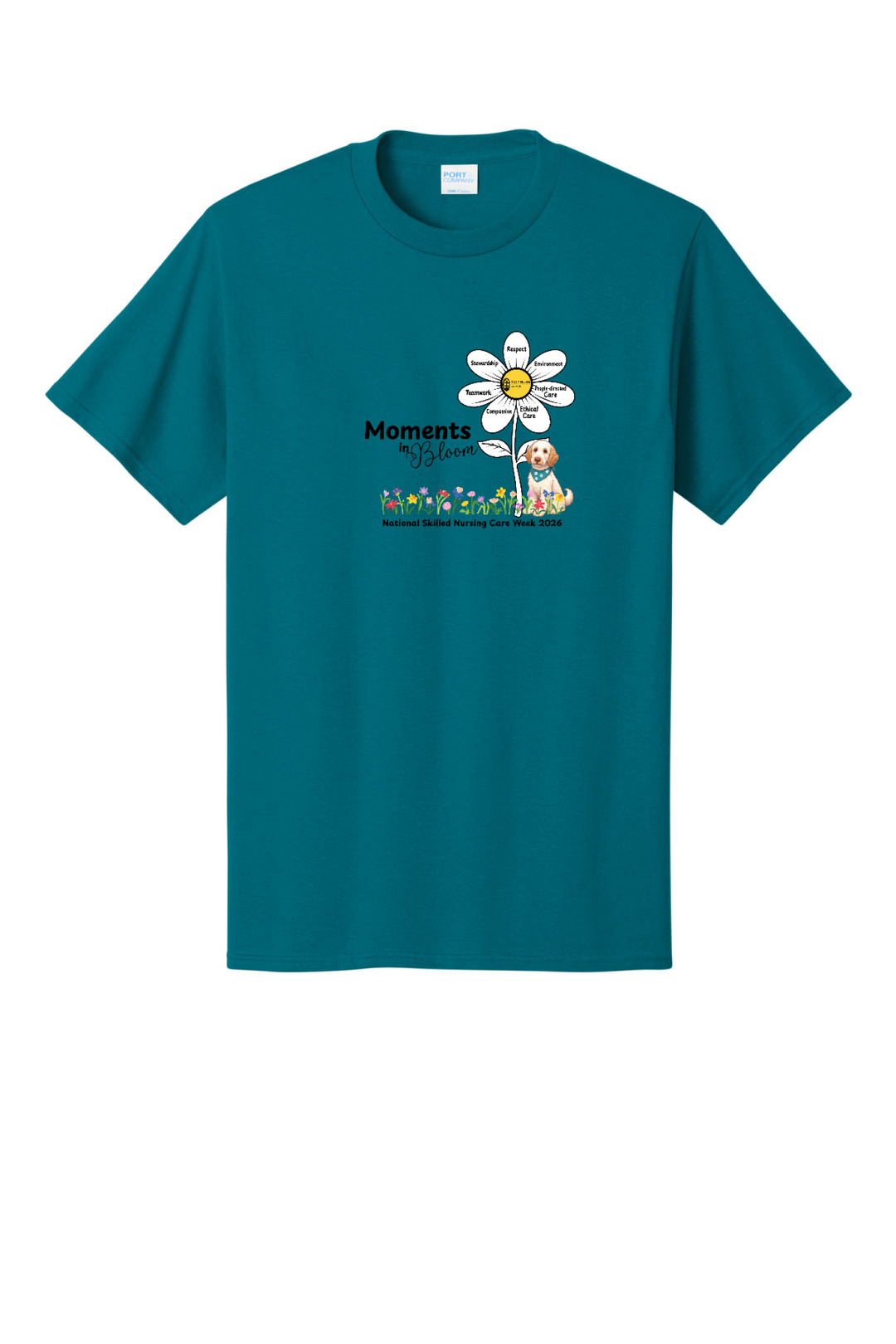 Front Design - Teal