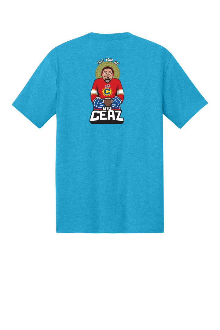 Back Design - Turquoise Frost